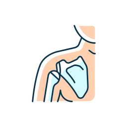 Clavicle