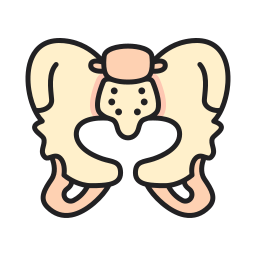Hip