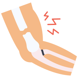Humerus
